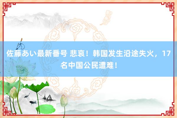 佐藤あい最新番号 悲哀！韩国发生沿途失火，17名中国公民遭难！