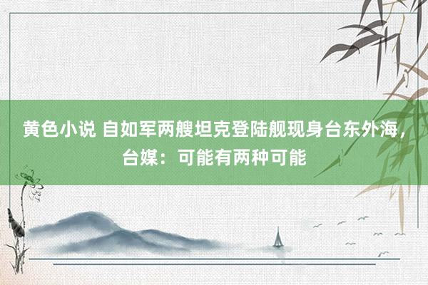 黄色小说 自如军两艘坦克登陆舰现身台东外海，台媒：可能有两种可能