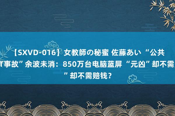 【SXVD-016】女教師の秘蜜 佐藤あい “公共最大IT事故”余波未消：850万台电脑蓝屏 “元凶”却不需赔钱？