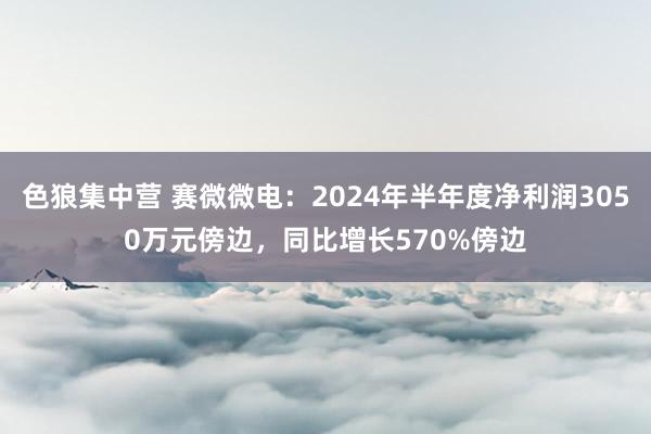 色狼集中营 赛微微电：2024年半年度净利润3050万元傍边，同比增长570%傍边