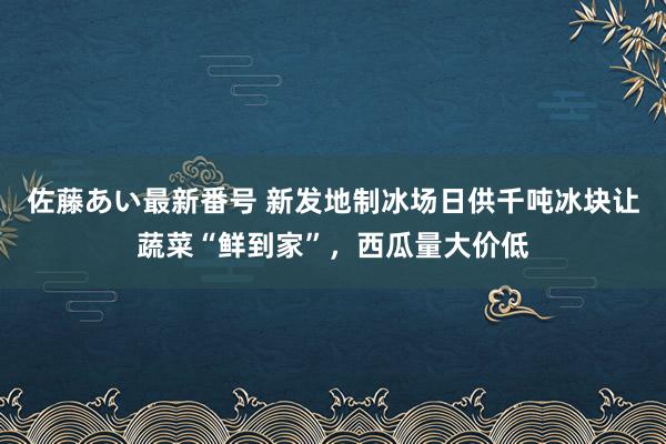 佐藤あい最新番号 新发地制冰场日供千吨冰块让蔬菜“鲜到家”，西瓜量大价低