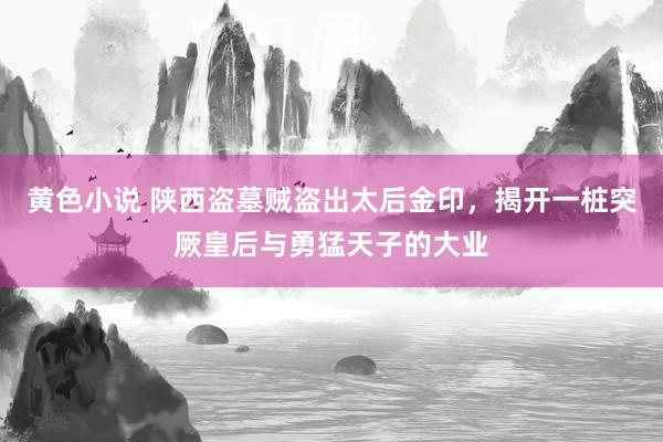 黄色小说 陕西盗墓贼盗出太后金印，揭开一桩突厥皇后与勇猛天子的大业