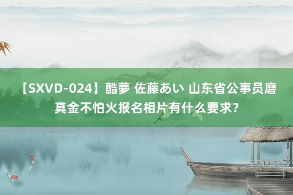 【SXVD-024】酷夢 佐藤あい 山东省公事员磨真金不怕火报名相片有什么要求？