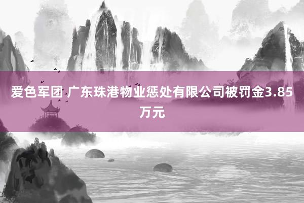 爱色军团 广东珠港物业惩处有限公司被罚金3.85万元