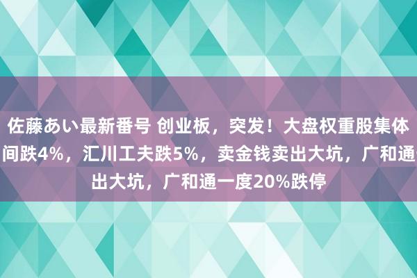 佐藤あい最新番号 创业板，突发！大盘权重股集体杀跌：宁德期间跌4%，汇川工夫跌5%，卖金钱卖出大坑，广和通一度20%跌停