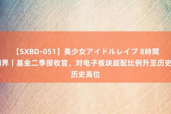 【SXBD-051】美少女アイドルレイプ 8時間 鑫闻界｜基金二季报收官，对电子板块超配比例升至历史高位