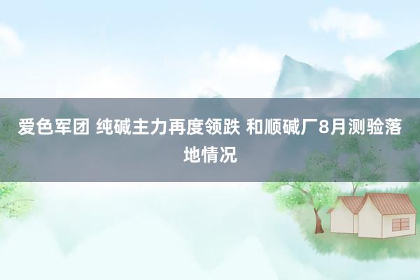 爱色军团 纯碱主力再度领跌 和顺碱厂8月测验落地情况