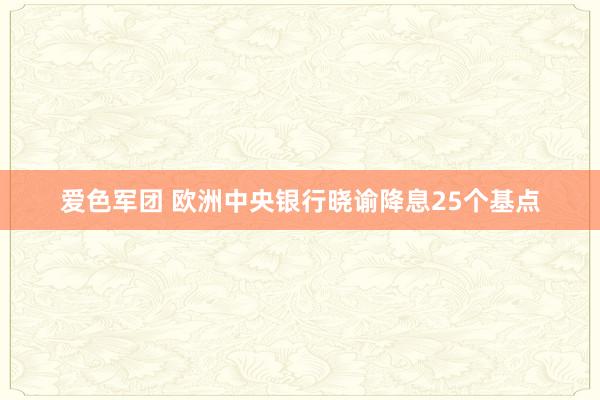 爱色军团 欧洲中央银行晓谕降息25个基点