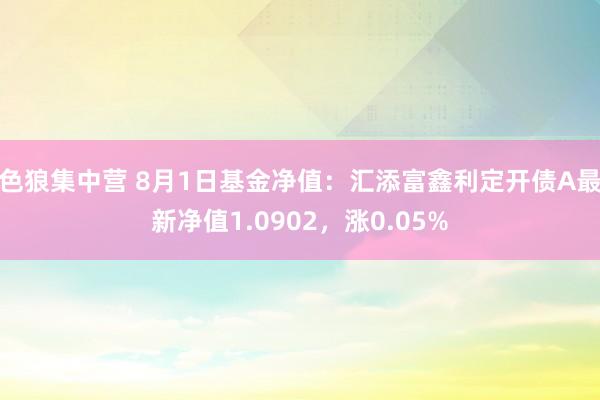 色狼集中营 8月1日基金净值：汇添富鑫利定开债A最新净值1.0902，涨0.05%