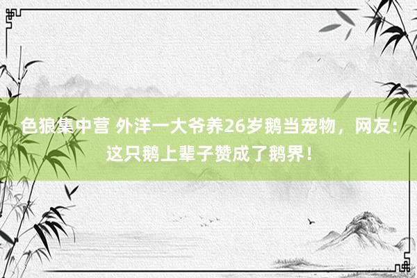 色狼集中营 外洋一大爷养26岁鹅当宠物，网友：这只鹅上辈子赞成了鹅界！