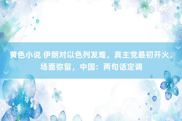 黄色小说 伊朗对以色列发难，真主党最初开火，场面弥留，中国：两句话定调