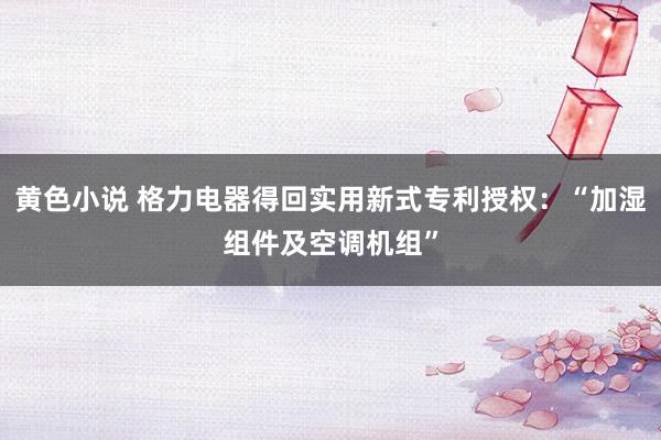 黄色小说 格力电器得回实用新式专利授权：“加湿组件及空调机组”