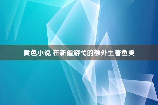 黄色小说 在新疆游弋的额外土著鱼类