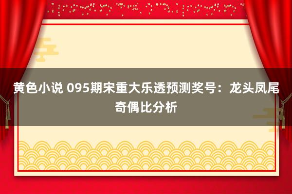 黄色小说 095期宋重大乐透预测奖号：龙头凤尾奇偶比分析