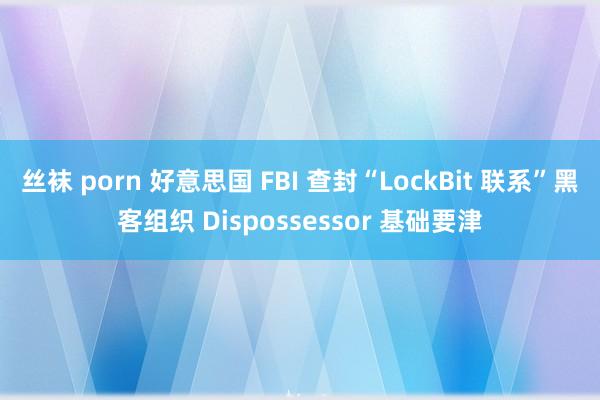 丝袜 porn 好意思国 FBI 查封“LockBit 联系”黑客组织 Dispossessor 基础要津