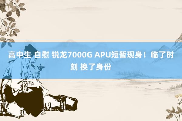 高中生 自慰 锐龙7000G APU短暂现身！临了时刻 换了身份