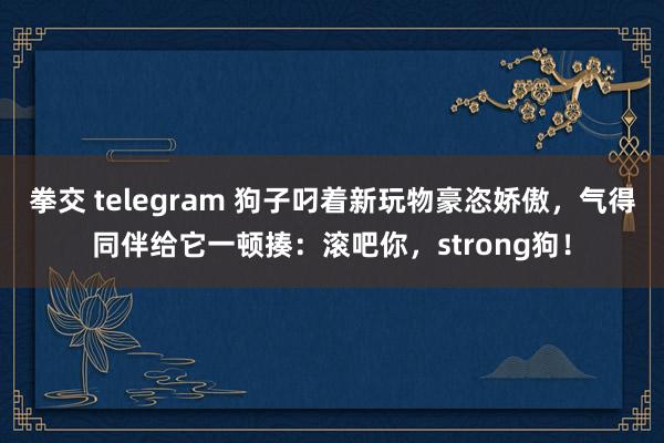 拳交 telegram 狗子叼着新玩物豪恣娇傲，气得同伴给它一顿揍：滚吧你，strong狗！