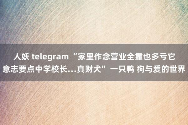 人妖 telegram “家里作念营业全靠也多亏它意志要点中学校长…真财犬” 一只鸭 狗与爱的世界