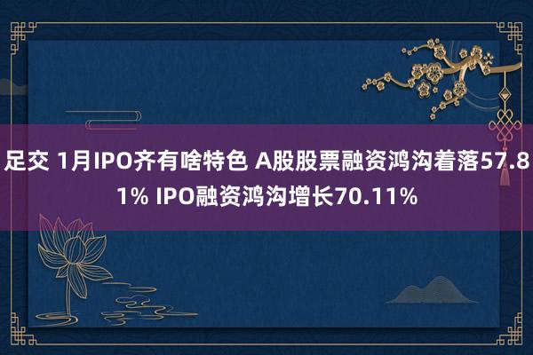 足交 1月IPO齐有啥特色 A股股票融资鸿沟着落57.81% IPO融资鸿沟增长70.11%