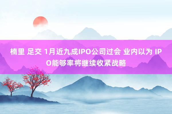 楠里 足交 1月近九成IPO公司过会 业内以为 IPO能够率将继续收紧战略