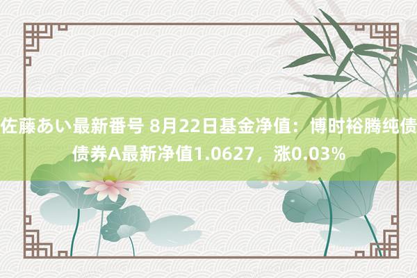 佐藤あい最新番号 8月22日基金净值：博时裕腾纯债债券A最新净值1.0627，涨0.03%