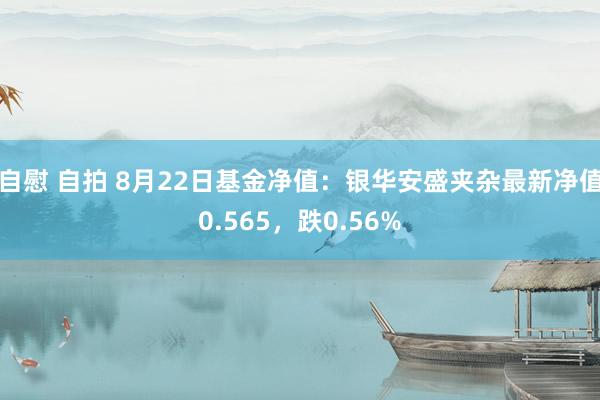 自慰 自拍 8月22日基金净值：银华安盛夹杂最新净值0.565，跌0.56%