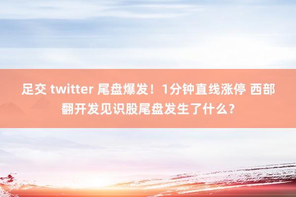 足交 twitter 尾盘爆发！1分钟直线涨停 西部翻开发见识股尾盘发生了什么？