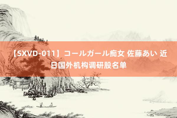 【SXVD-011】コールガール痴女 佐藤あい 近日国外机构调研股名单