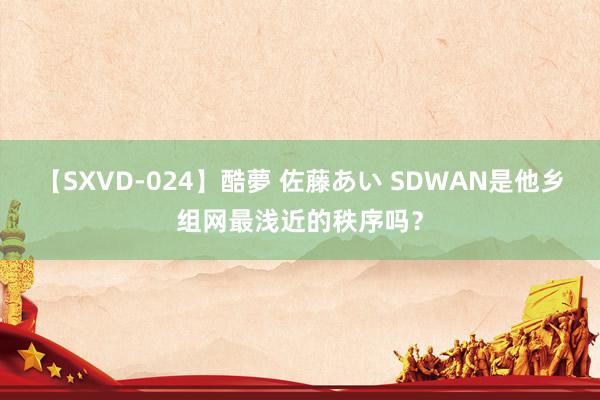 【SXVD-024】酷夢 佐藤あい SDWAN是他乡组网最浅近的秩序吗？