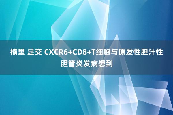 楠里 足交 CXCR6+CD8+T细胞与原发性胆汁性胆管炎发病想到