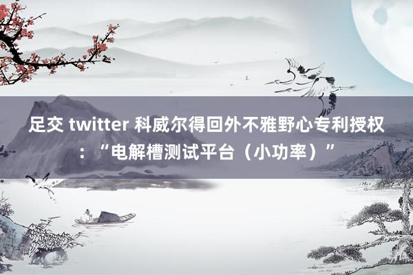 足交 twitter 科威尔得回外不雅野心专利授权：“电解槽测试平台（小功率）”