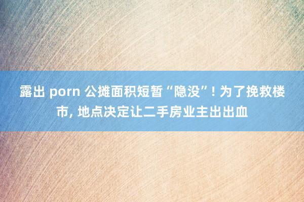 露出 porn 公摊面积短暂“隐没”! 为了挽救楼市， 地点决定让二手房业主出出血