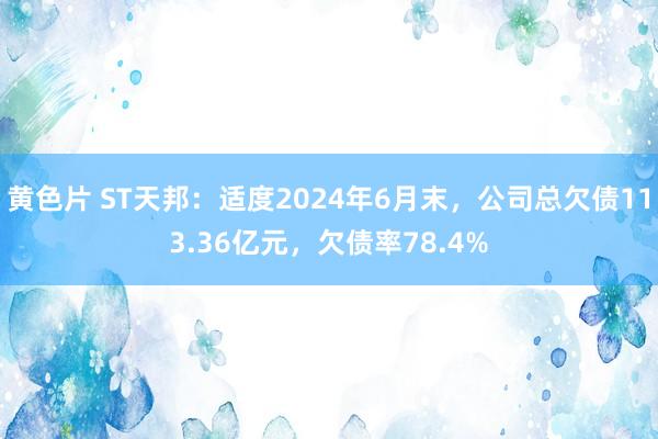 黄色片 ST天邦：适度2024年6月末，公司总欠债113.36亿元，欠债率78.4%