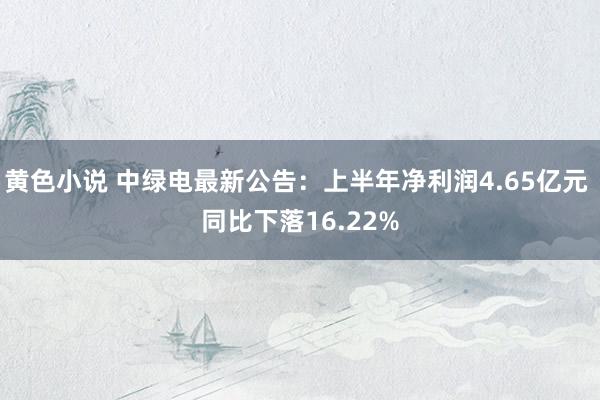 黄色小说 中绿电最新公告：上半年净利润4.65亿元 同比下落16.22%