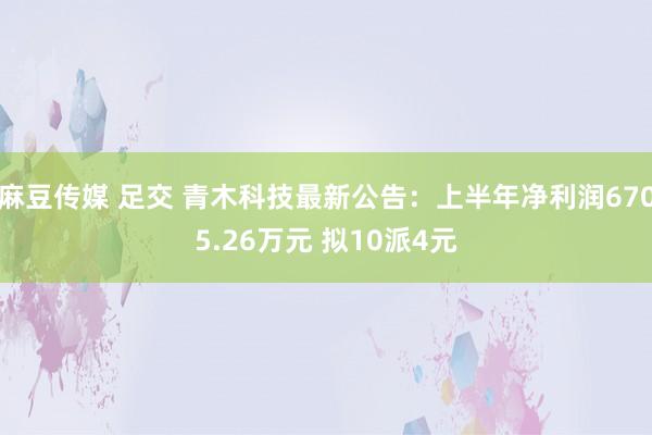 麻豆传媒 足交 青木科技最新公告：上半年净利润6705.26万元 拟10派4元