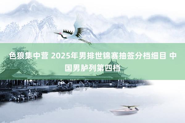 色狼集中营 2025年男排世锦赛抽签分档细目 中国男胪列第四档