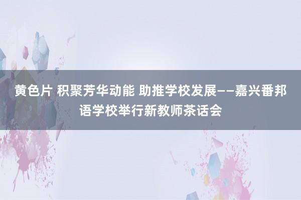 黄色片 积聚芳华动能 助推学校发展——嘉兴番邦语学校举行新教师茶话会