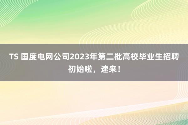 TS 国度电网公司2023年第二批高校毕业生招聘初始啦，速来！