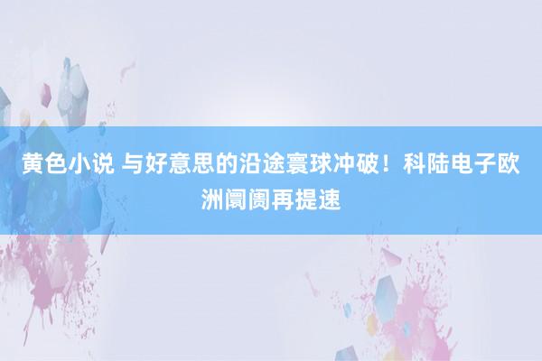 黄色小说 与好意思的沿途寰球冲破！科陆电子欧洲阛阓再提速