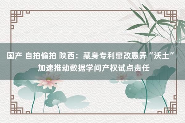 国产 自拍偷拍 陕西：藏身专利窜改愚弄“沃土”  加速推动数据学问产权试点责任